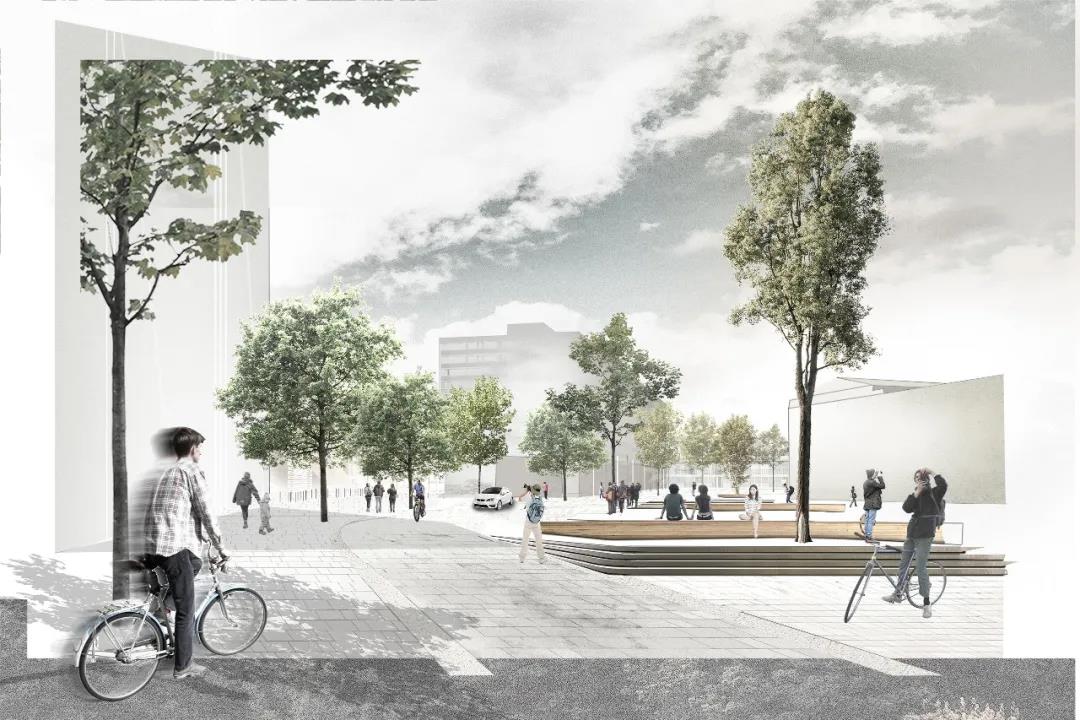 1583377107793250.jpg 18.jpg