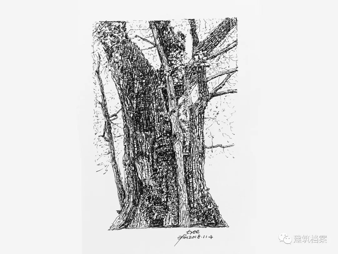 1596423463536222.jpg 8.jpg