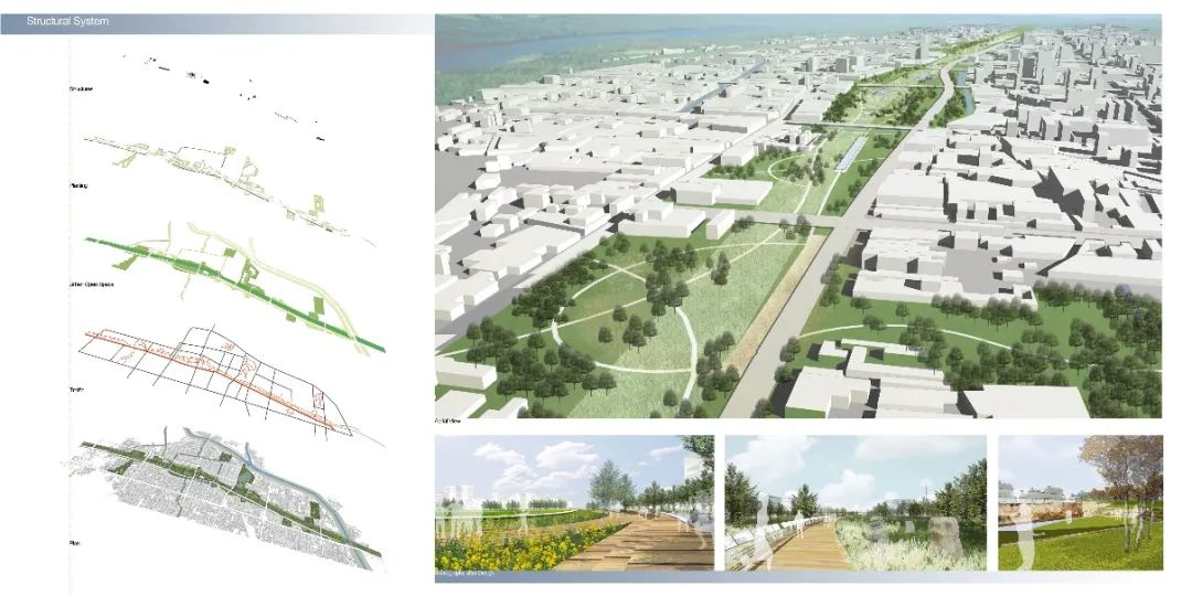 1597718103802830.jpg 5.jpg