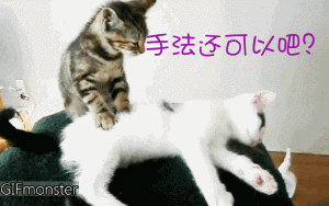 1582682984319262.gif 4.gif