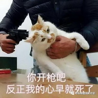 1605508388108663.jpg 59.jpg