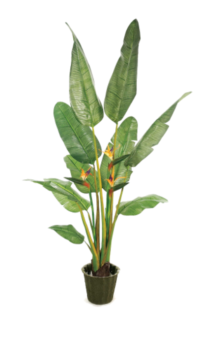 1596900202236150.png 15.png