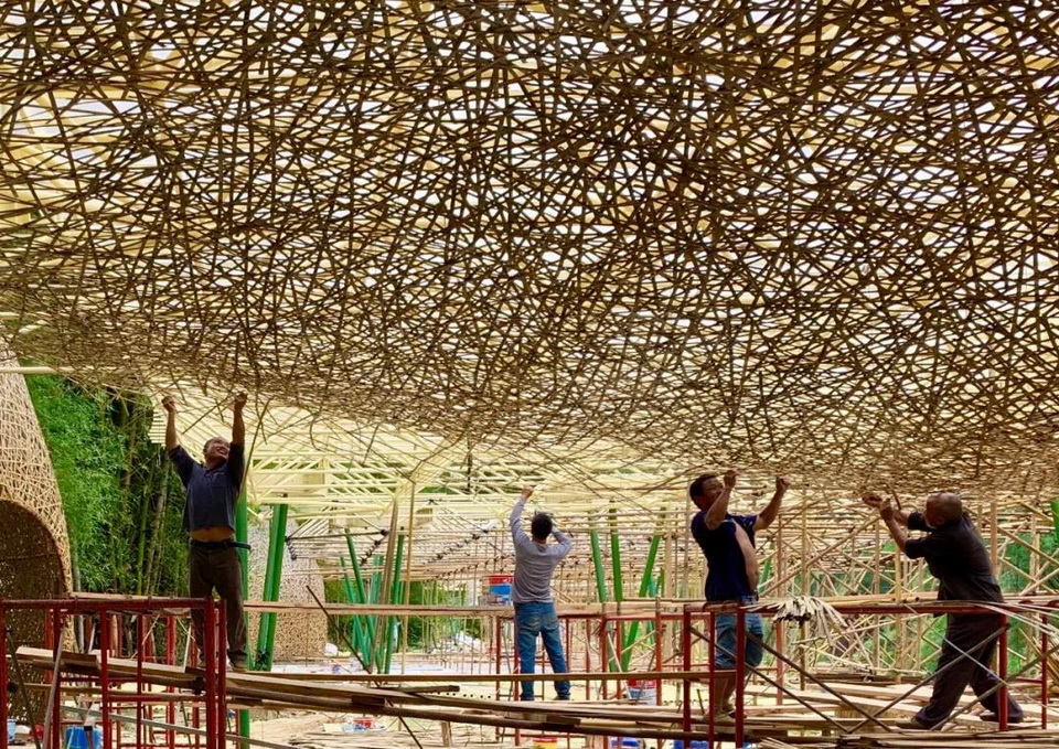 1621270420703912.jpg 5.jpg