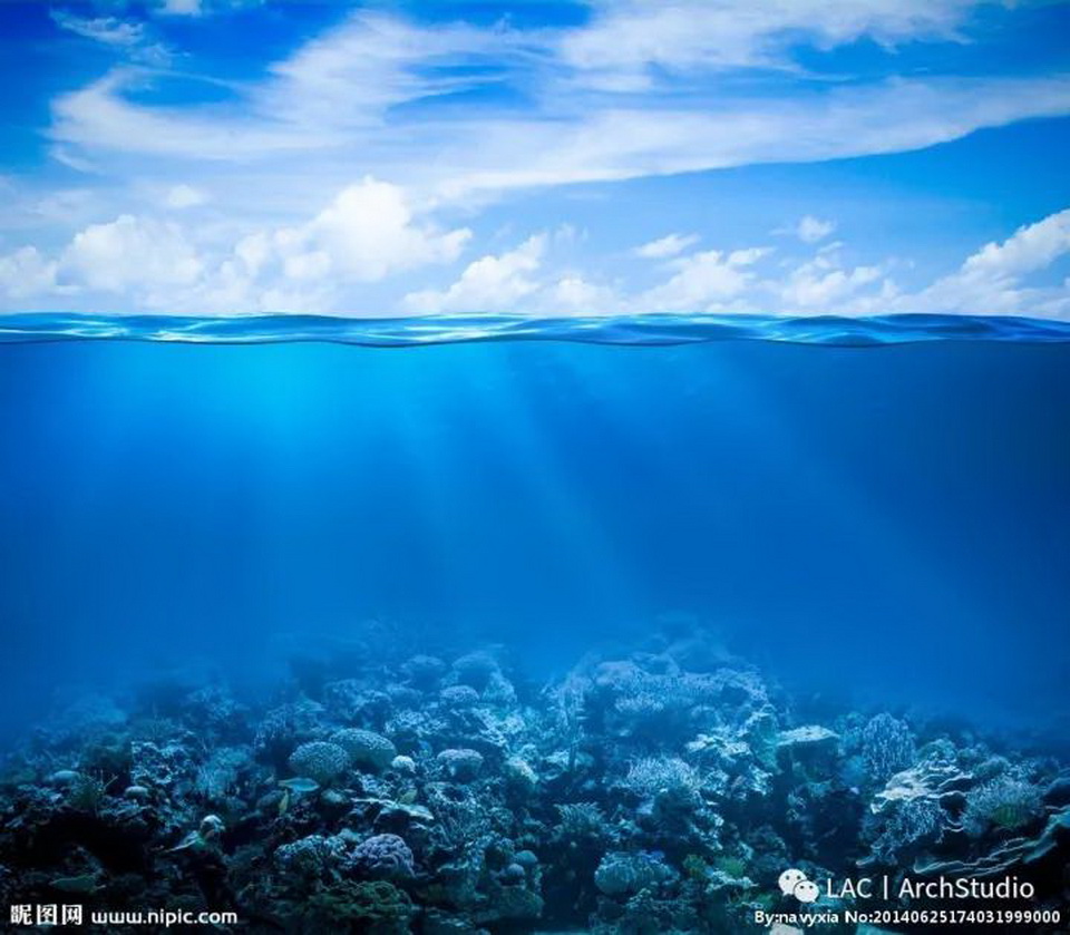 1619024571927099.jpg 21.jpg