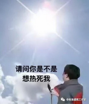 1610550940896331.jpg 13.jpg
