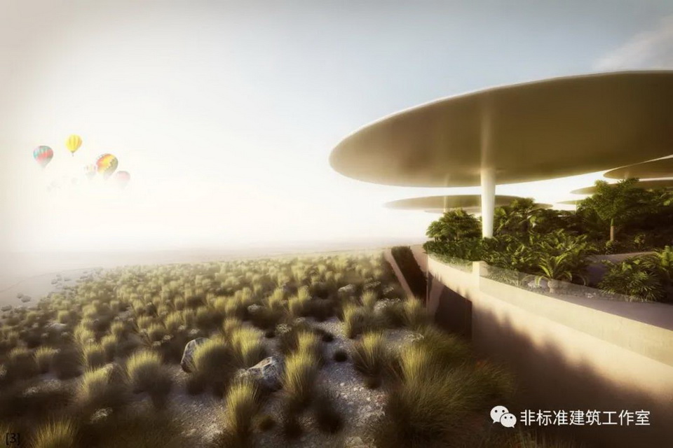 1610551320662306.jpg 55.jpg