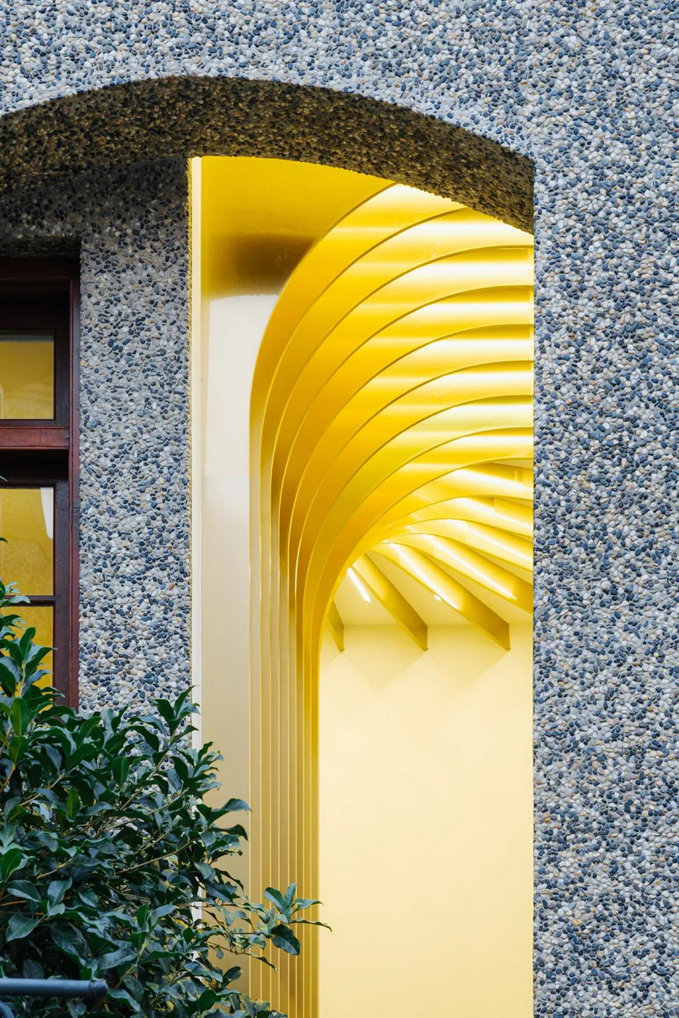 1605167184929062.jpg 9.jpg