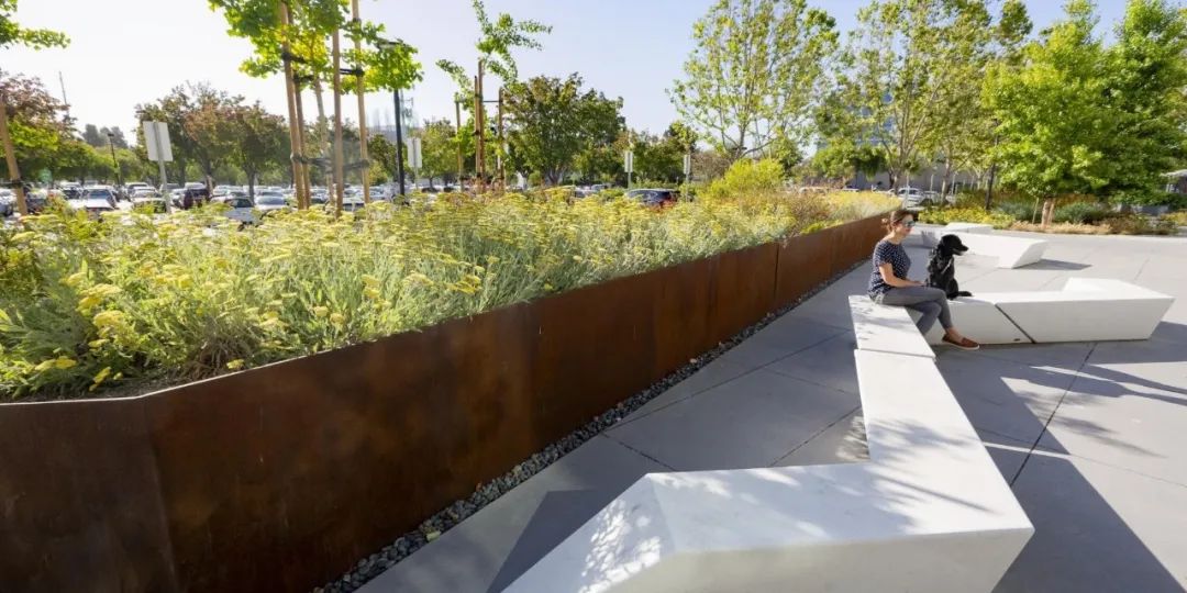 1595473020295975.jpg 10.jpg