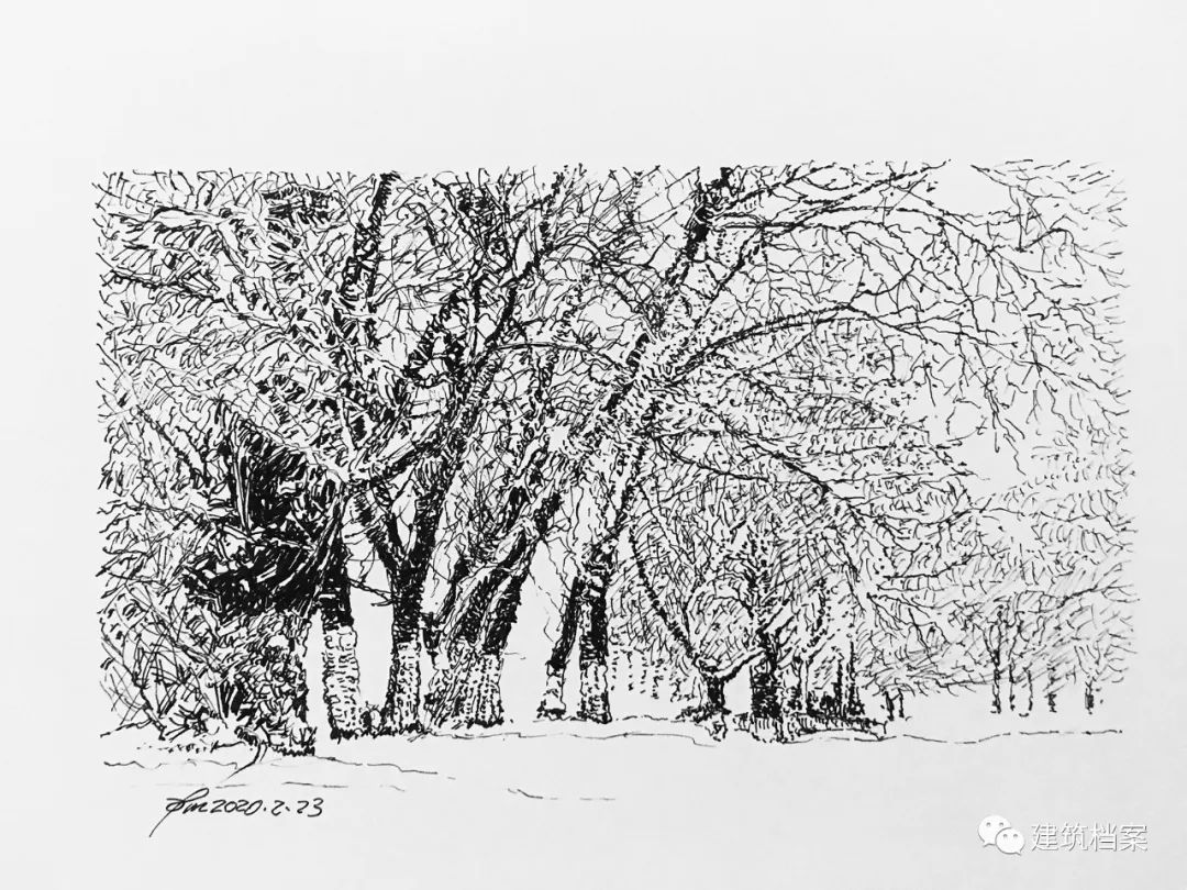 1596423443429881.jpg 6.jpg