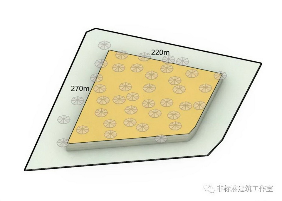 1610551016229287.jpg 19.jpg