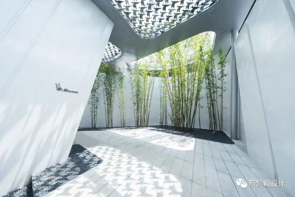 1595992389692658.jpg 8.jpg