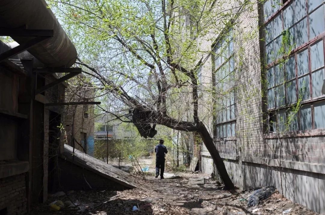 1586230708350543.jpg 2.jpg