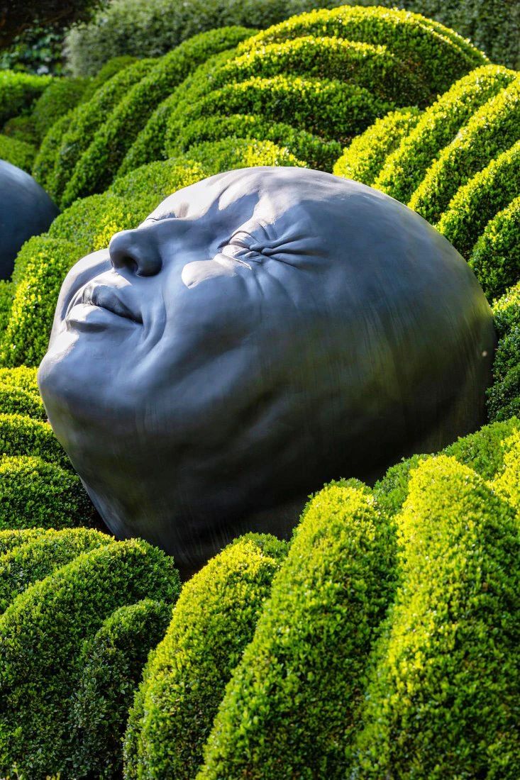 1587435897100470.jpg 3.jpg