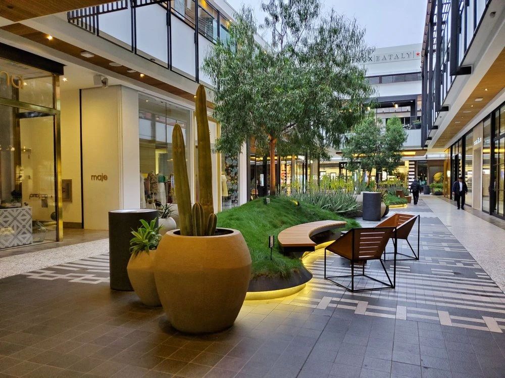 1597373224500113.jpg 18.jpg