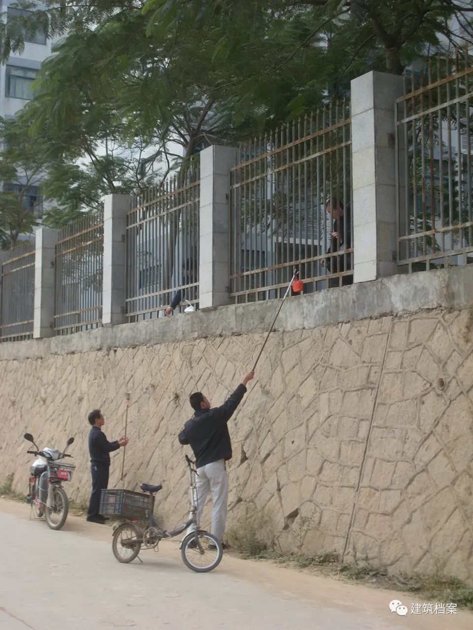 1616436298650009.jpg 27.jpg