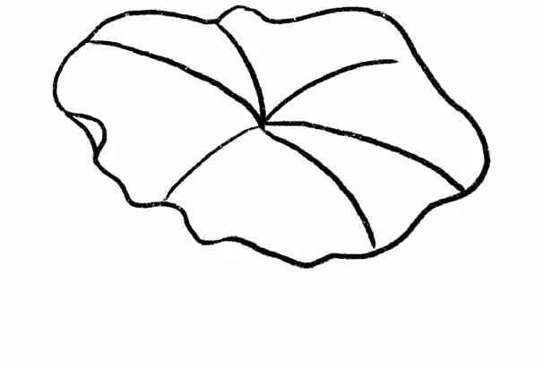 1600227930463255.png image.png