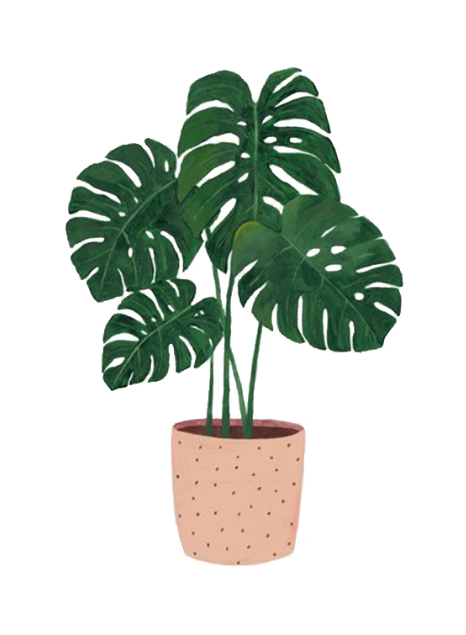 1596900260631912.png 18.png