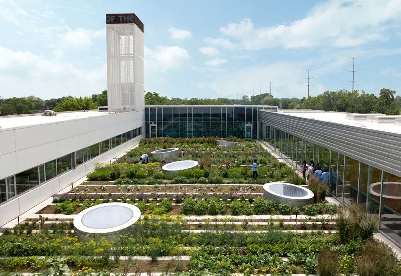 1595472828387247.jpg 5.jpg