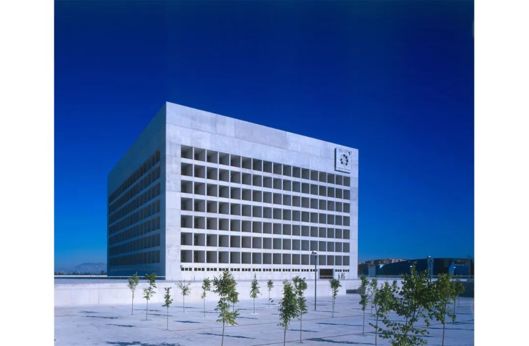 1596164561802331.jpg 24.jpg