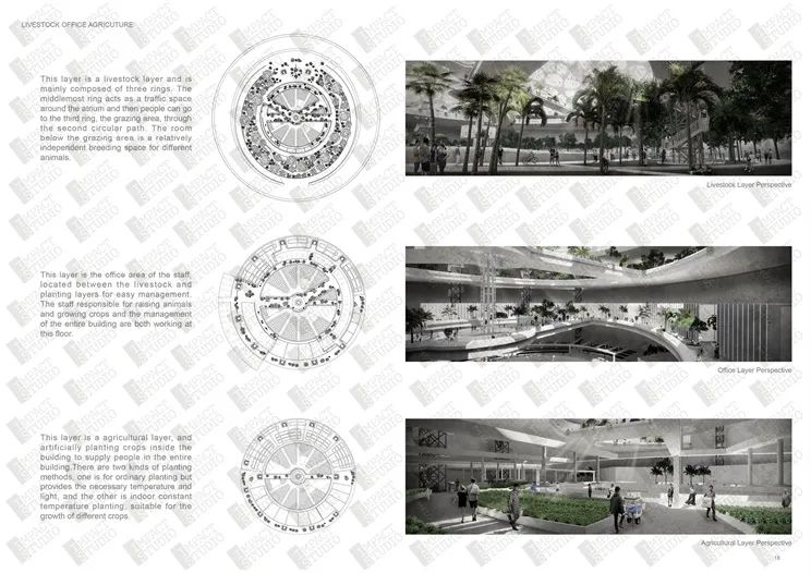 1590116589217715.jpg 29.jpg