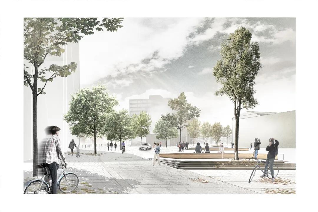 1583377256673370.jpg 21.jpg