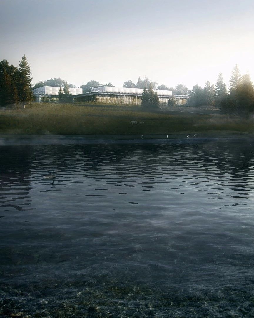 1583893349487621.jpg 23.jpg