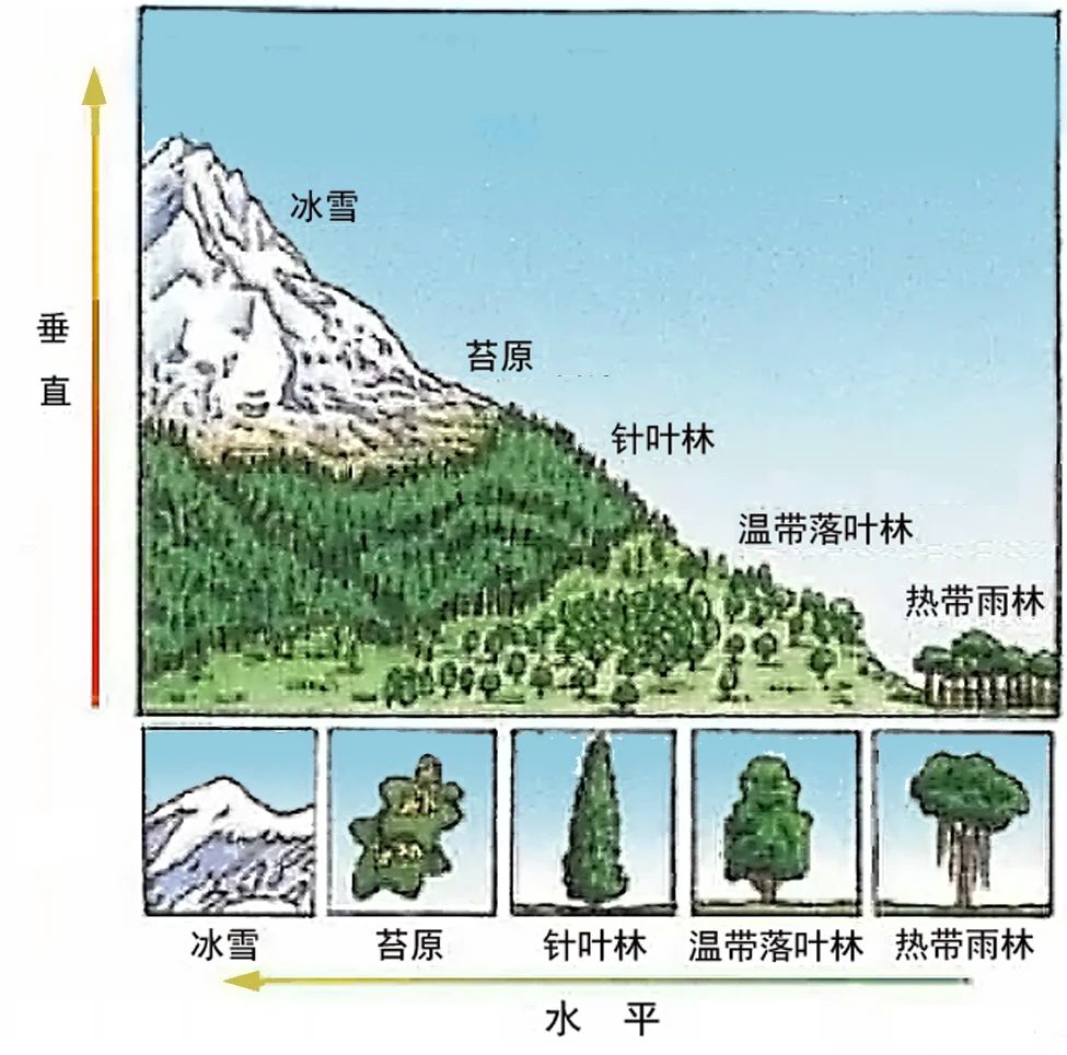 1599188143111800.jpg 7.jpg