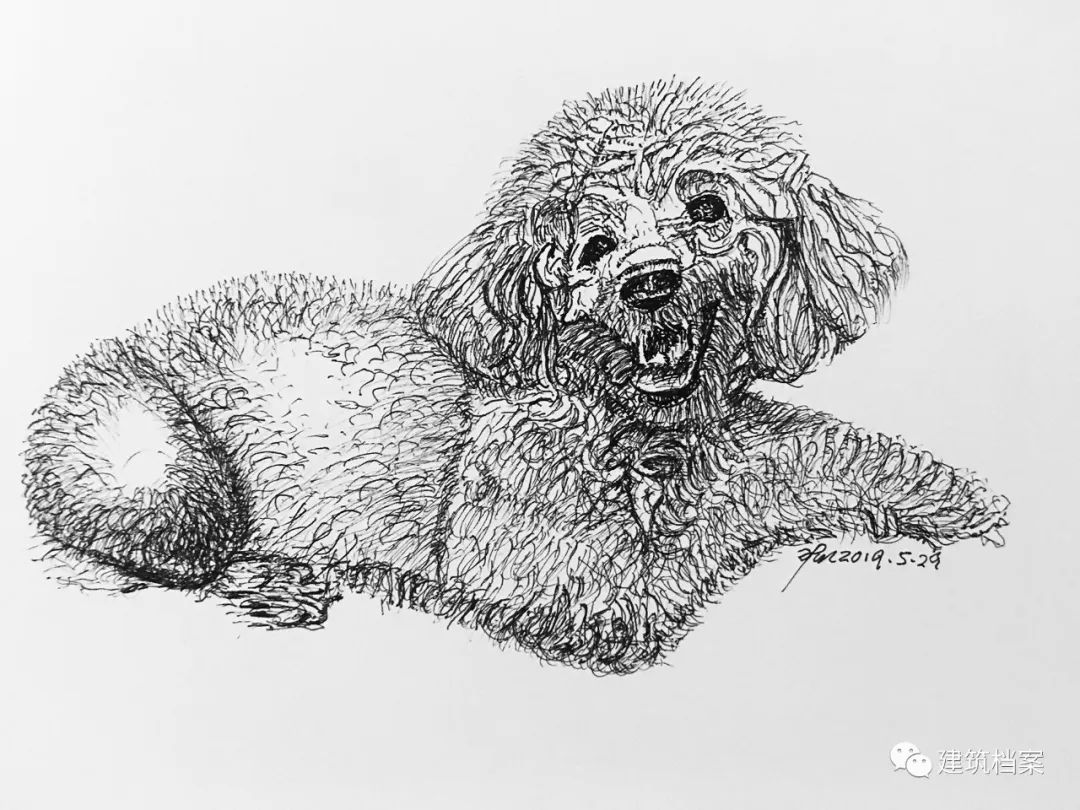 1596423799228863.jpg 30.jpg