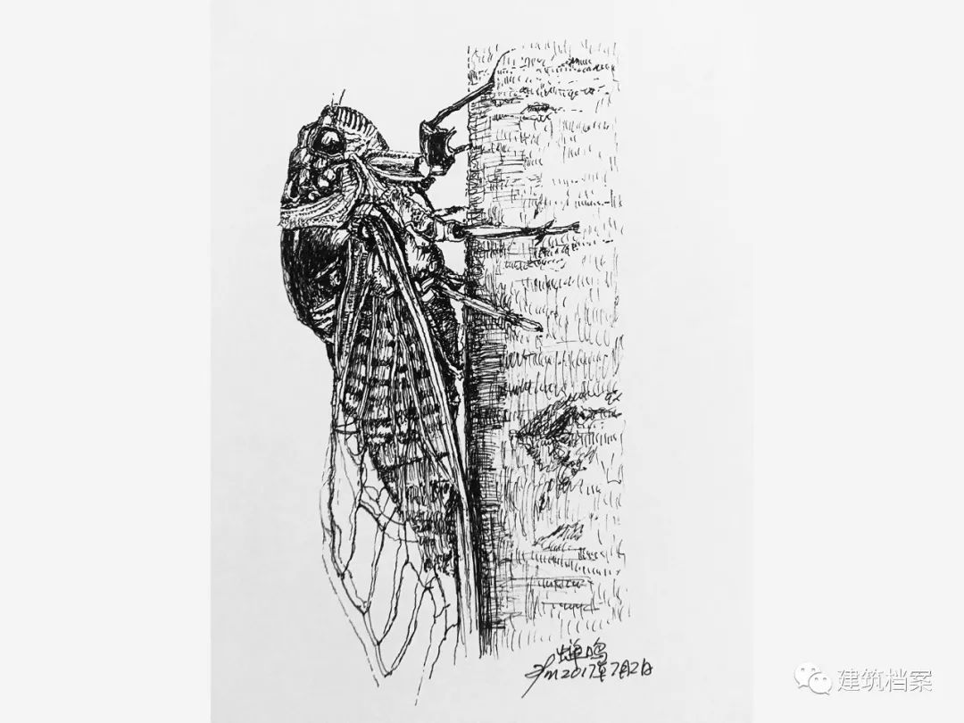 1596423703944595.jpg 22.jpg