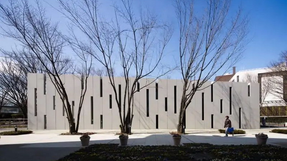 1606278685125276.jpg 11.jpg