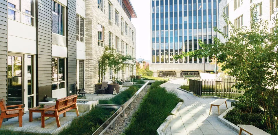 1591325836901073.png 11.png