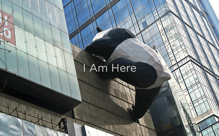 1587953360348585.jpg 6.jpg