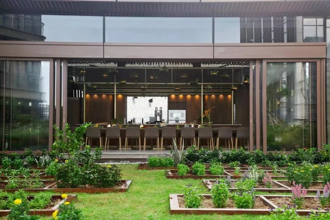 1597372722448203.jpg 5.jpg