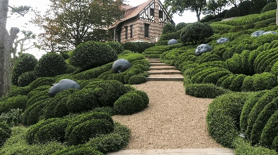1587435691260844.jpg 7.jpg