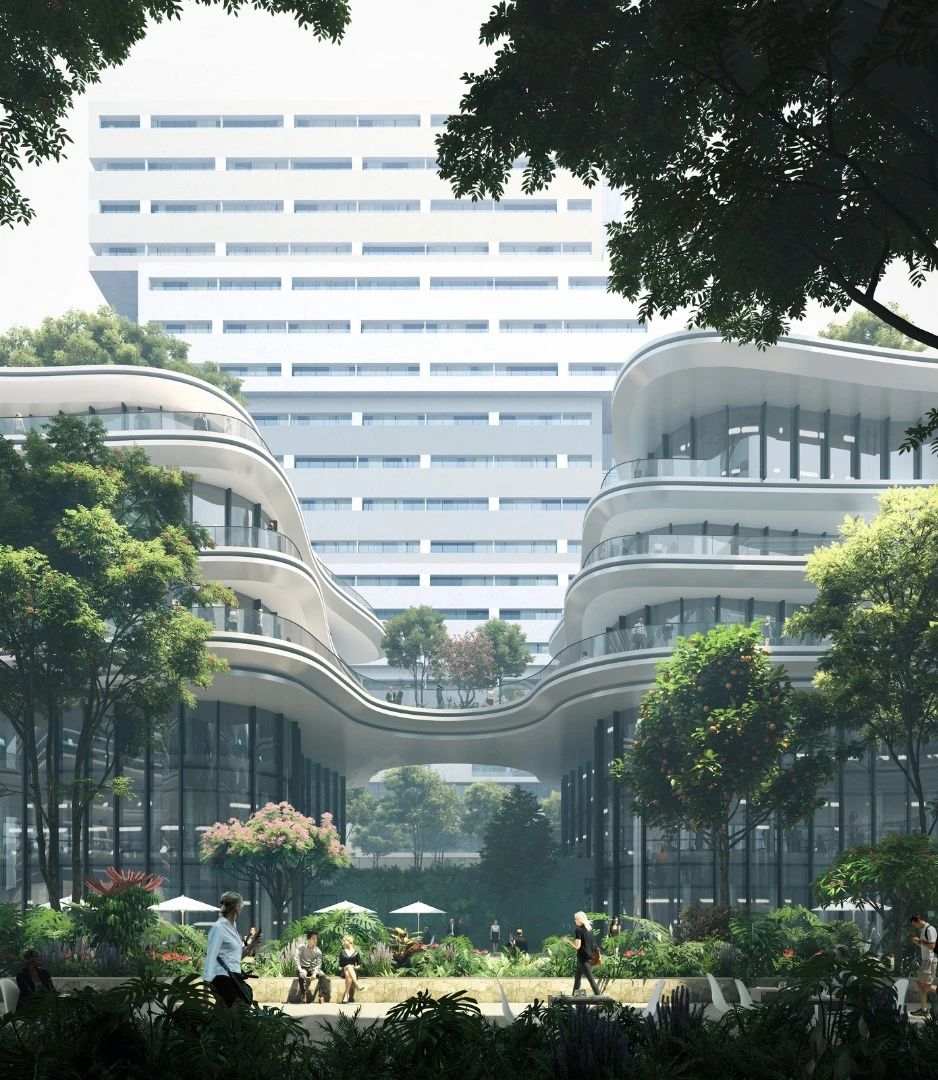 1584586673879618.jpg 6.jpg