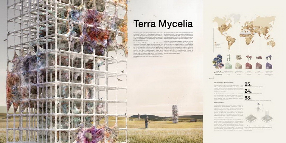 1620317258310062.jpg 27.jpg