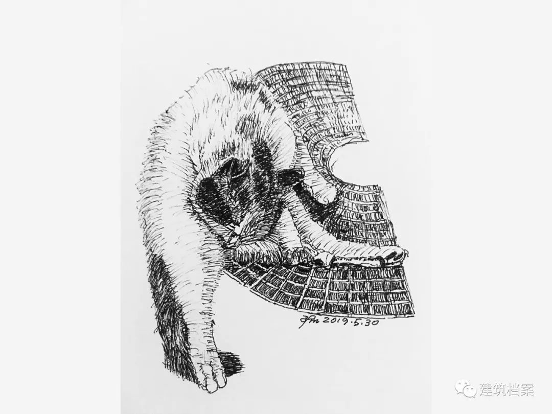 1596423742480744.jpg 26.jpg