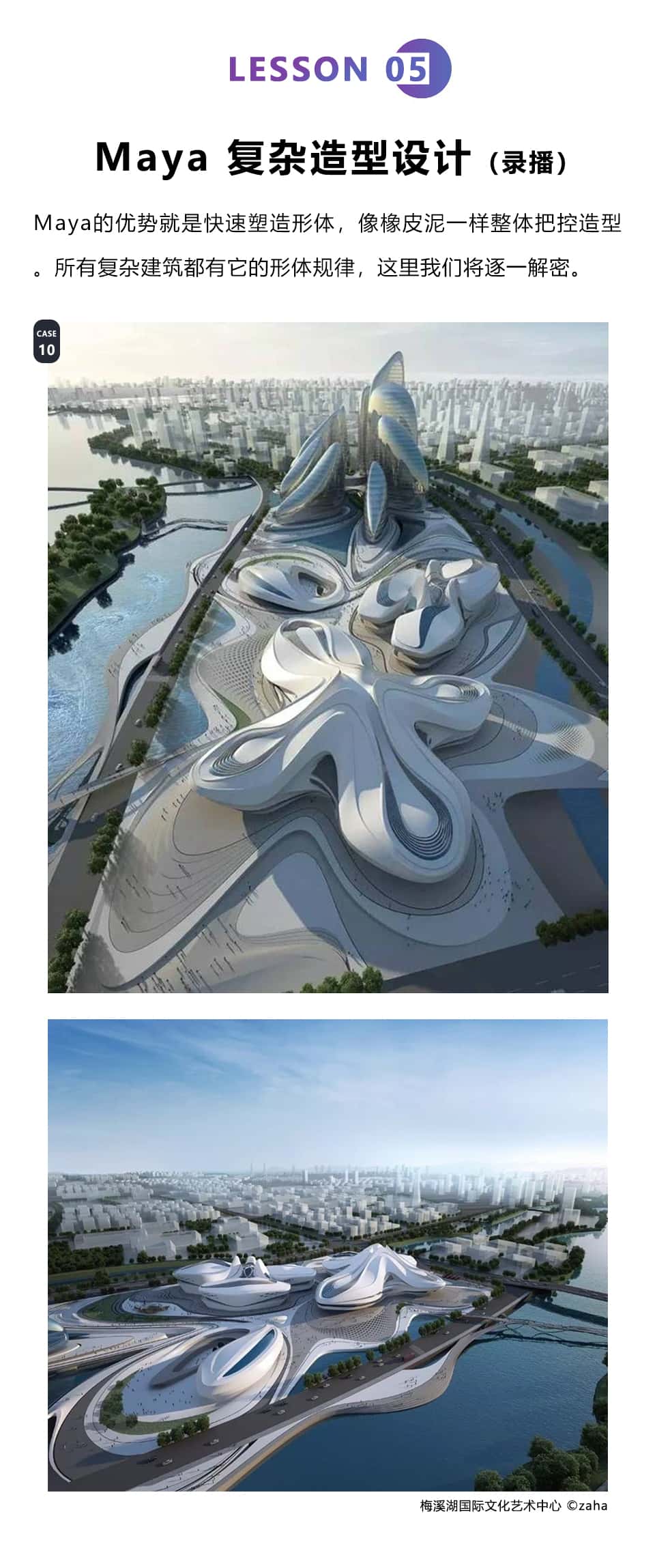 10-tuya.jpg