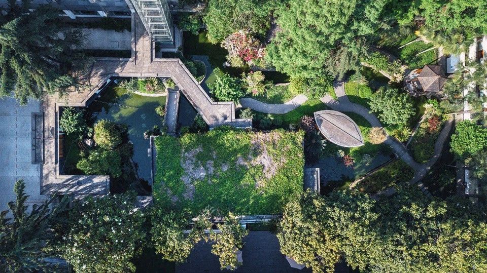 1584415477913260.jpg 6.jpg