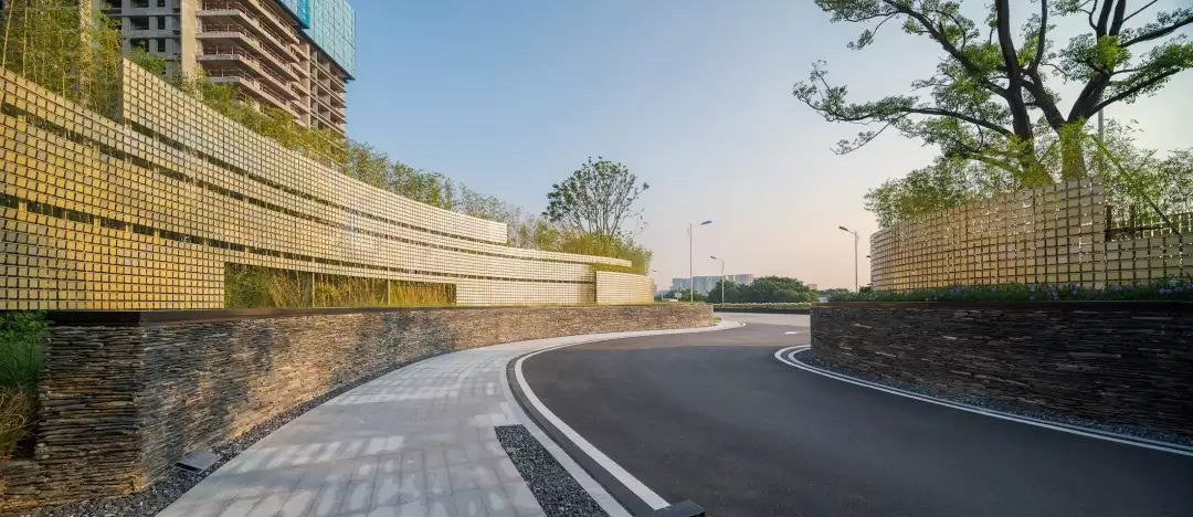 1585278692444243.jpg 17.jpg