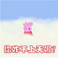 1605507998345854.jpg 18.jpg