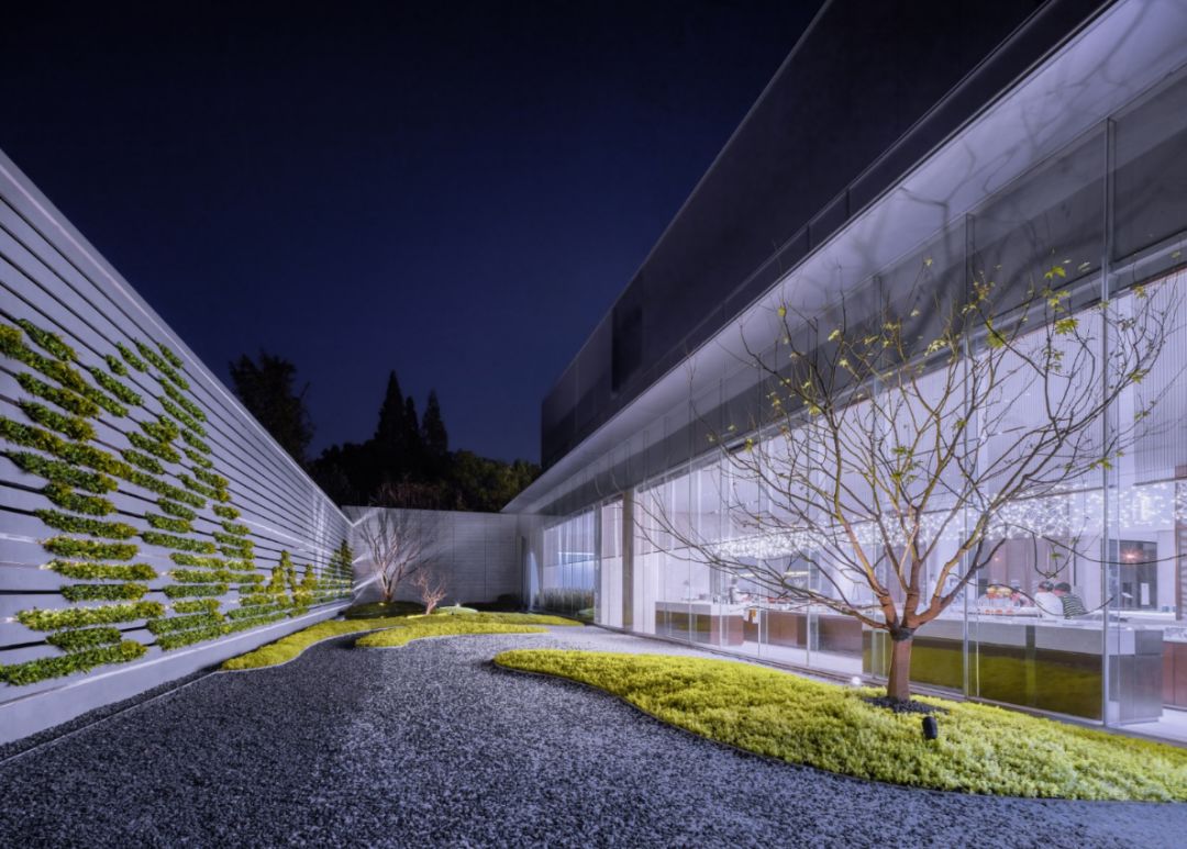 1585276983881111.jpg 5.jpg