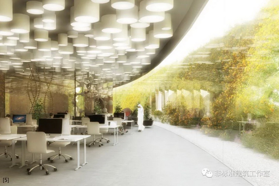 1610551333693822.jpg 57.jpg