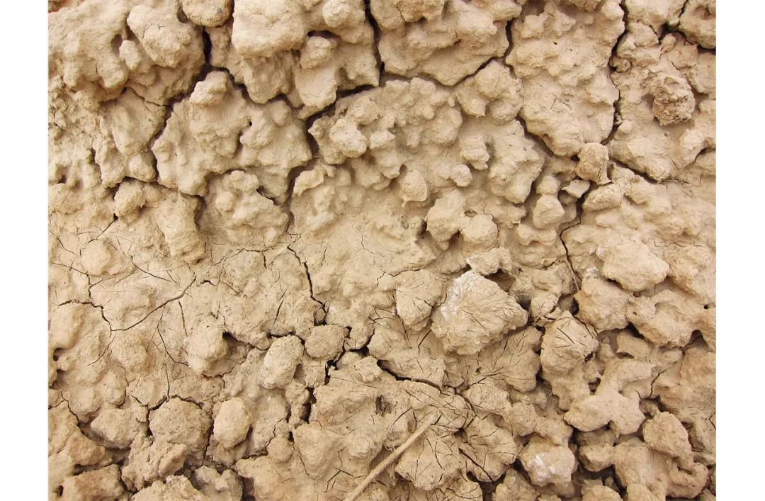 1596164877478626.jpg 41.jpg