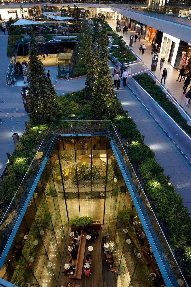 1597373646706459.jpg 41.jpg