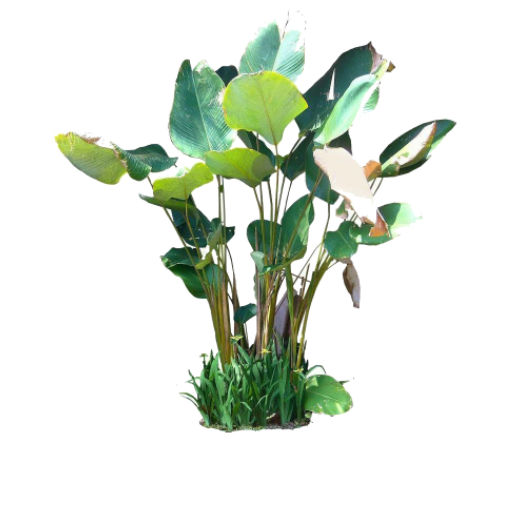 1596900222633733.png 17.png