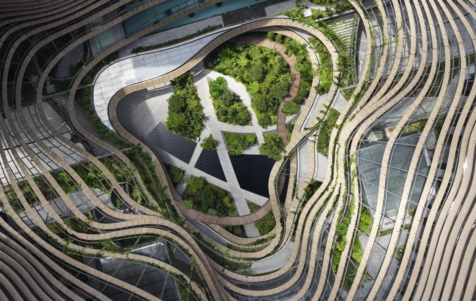 1588911425177655.jpg 11.jpg