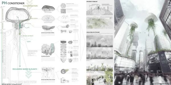 1589424800229951.jpg 16.jpg