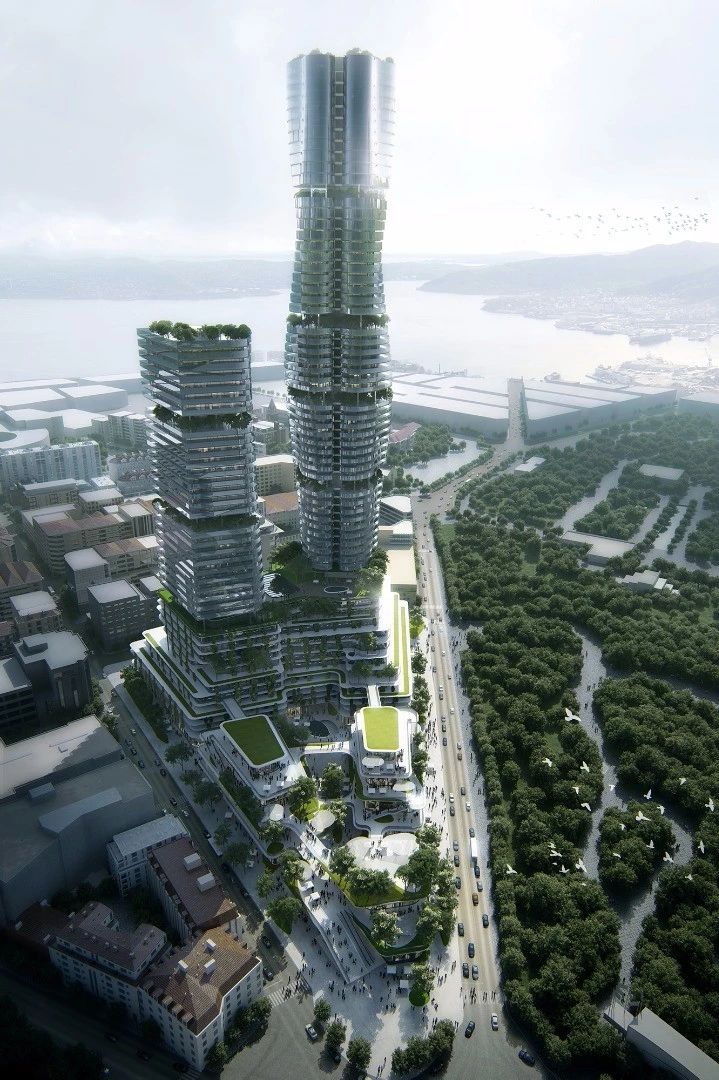 1583893823747966.jpg 2.jpg