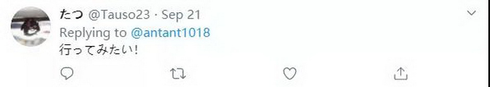 1603876679969944.jpg 29.jpg